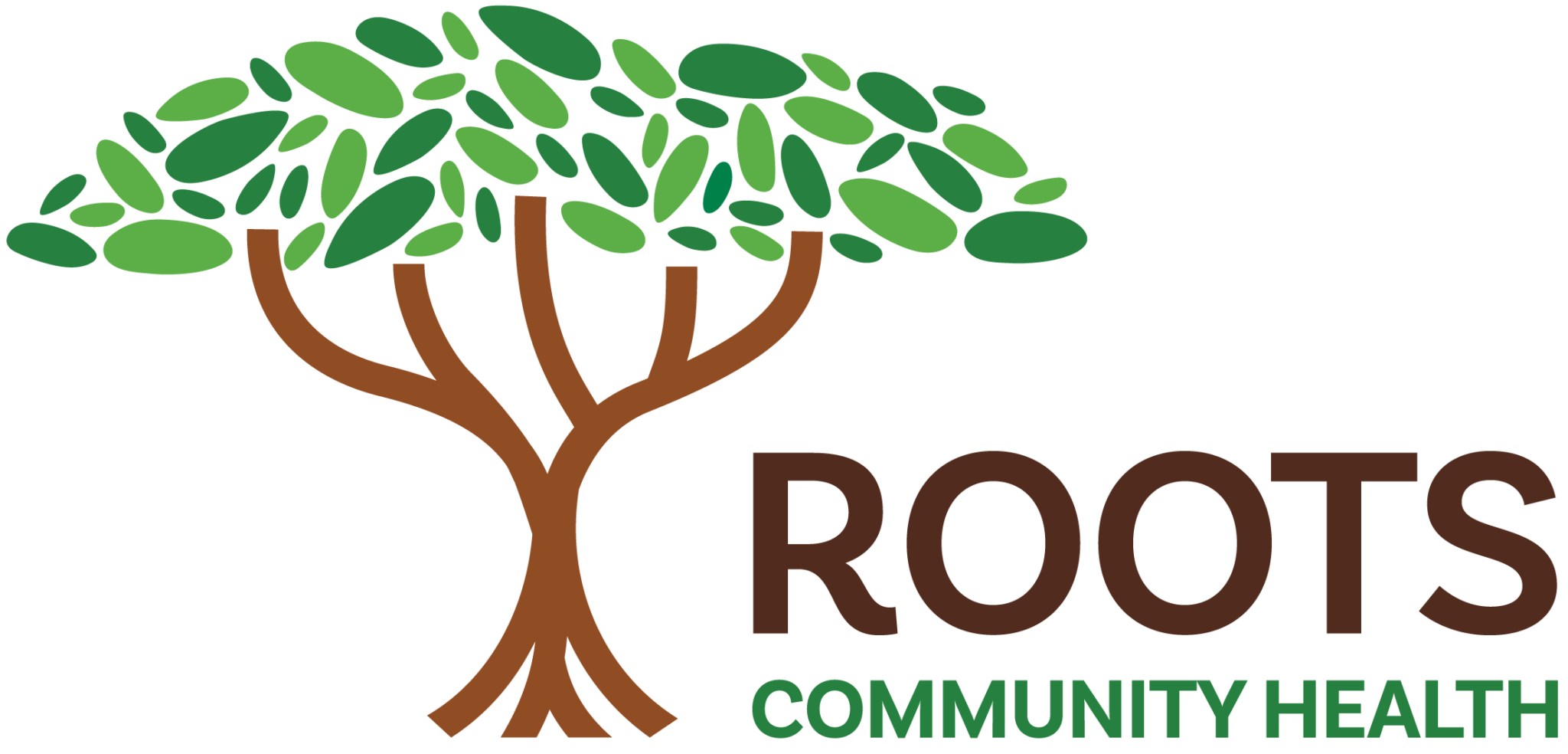 Mission | Healing Our Community From Within